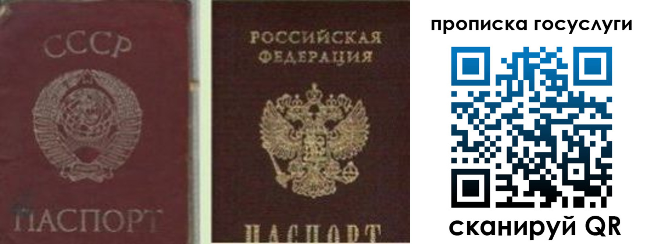 временная регистрация 2025 в Юрьев-Польском